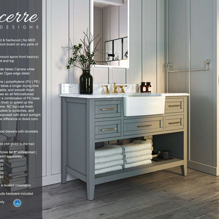 Hayley 48" Bath Vanity Set Ancerre Designs