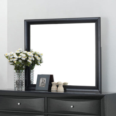 ACME 04164 Ireland Mirror, Black ACME Furniture
