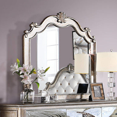 ACME 22204 Esteban Mirror, Antique Champagne ACME Furniture