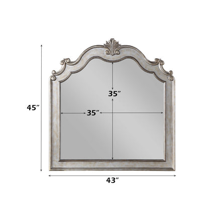 ACME 22204 Esteban Mirror, Antique Champagne
