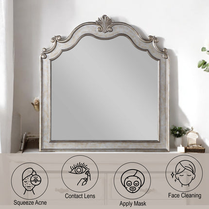 ACME 22204 Esteban Mirror, Antique Champagne