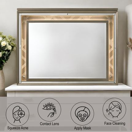 ACME 25324 Skylar Mirror with LED, LED & Dark Champagne