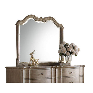 ACME 26054 Chelmsford Mirror, Antique Taupe ACME Furniture