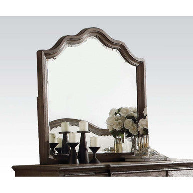 ACME 26114 Baudouin Mirror, Weathered Oak ACME Furniture