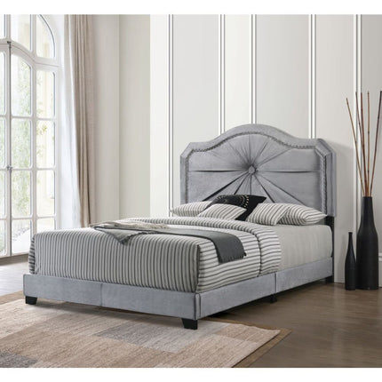 ACME 26410Q Frankie Queen Bed