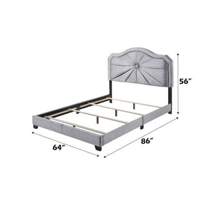 ACME 26410Q Frankie Queen Bed