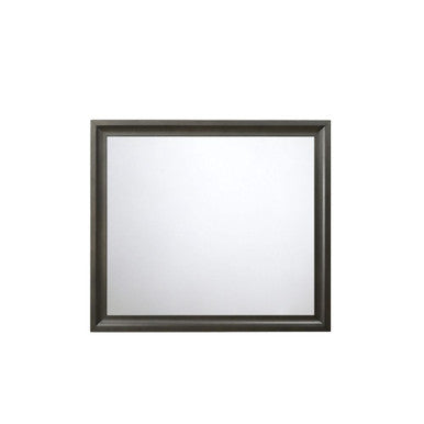 ACME 26544 Soteris Mirror, Antique Gray ACME Furniture