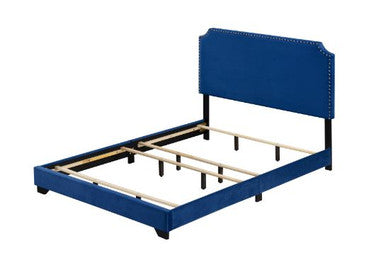 ACME 26760Q Haemon Queen Bed - Blue Fabric, Blue Fabric ACME Furniture