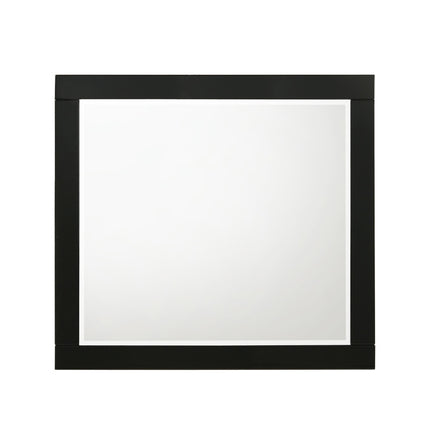 ACME 27414 Chelsie Mirror Black Finish