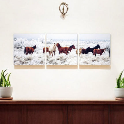 Set of Three White Canvas Square Framed Art HomeRoots
