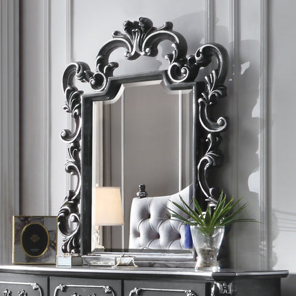 ACME 28834 House Delphine Mirror, Charcoal Finish