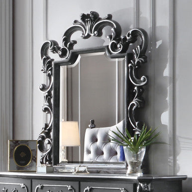 ACME 28834 House Delphine Mirror, Charcoal Finish ACME Furniture