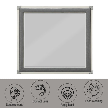 ACME 36139 Orchest Mirror, Gray