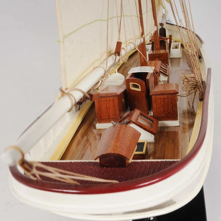 7" X 38" X 29" Wanderbird HomeRoots