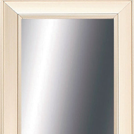 32" Champagne Gold Framed Accent Mirror HomeRoots