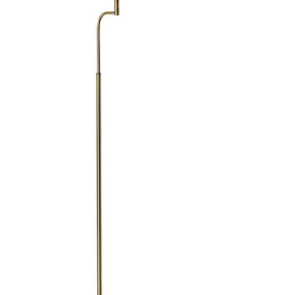 63" Brown LED Task Floor Lamp With Brass HomeRoots