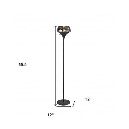 70" Black With Black Glass Shade HomeRoots