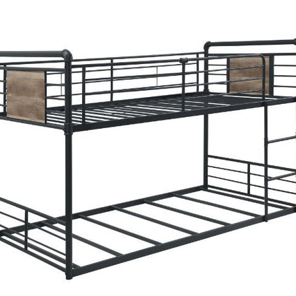 ACME 38285 Cordelia Twin/Twin Bunk Bed