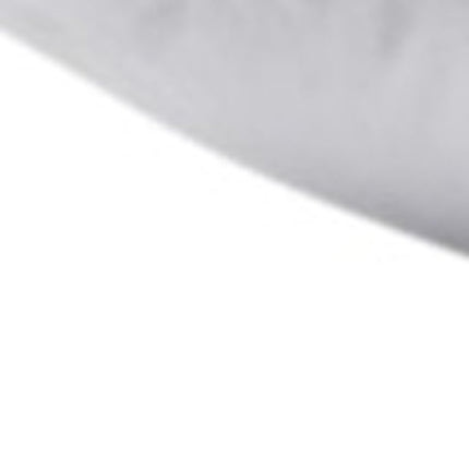 Set of Two Down Alternative Firm King Size Bed Pillows HomeRoots