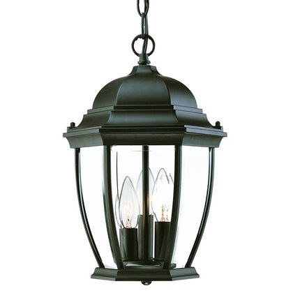 Three Light Matte Black Wide Lantern Hanging Light HomeRoots