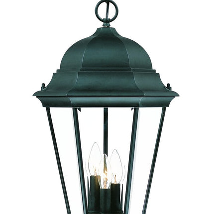 Three Light Matte Black Domed Glass Lantern Hanging Light HomeRoots