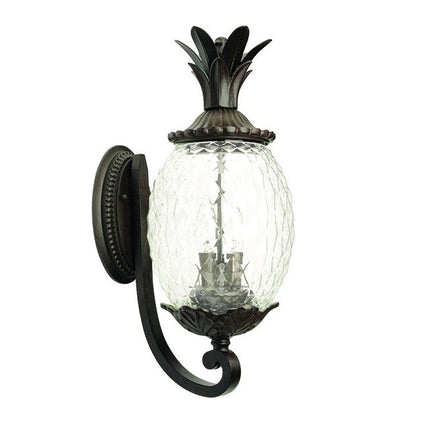 Lanai 3-Light Black Coral Wall Light HomeRoots