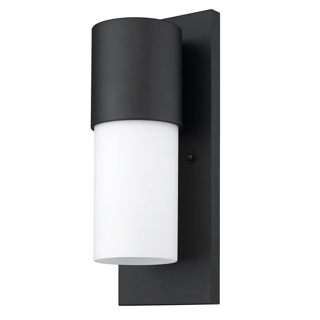 Contemporary Matte Black and White Wall Light HomeRoots