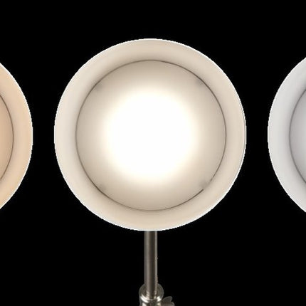 Brushed Silver LED Adjustable Desk Lamp HomeRoots