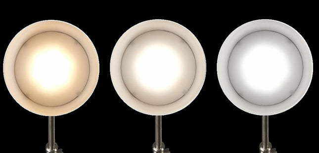 Brushed Silver LED Adjustable Desk Lamp HomeRoots