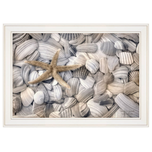 Starfish and Seashells 3 White Framed Print Wall Art HomeRoots