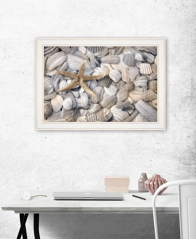 Starfish and Seashells 3 White Framed Print Wall Art HomeRoots