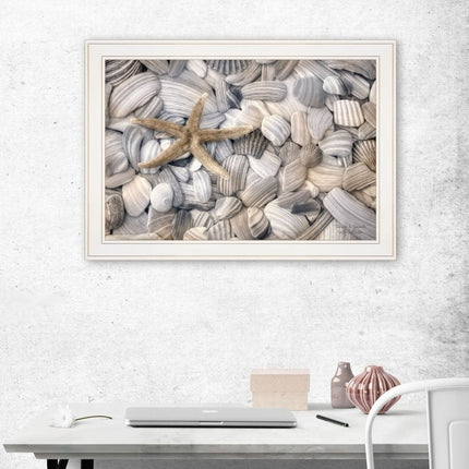 Starfish and Seashells 3 White Framed Print Wall Art HomeRoots
