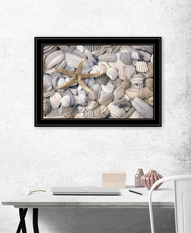 Starfish and Seashells 4 Black Framed Print Wall Art HomeRoots