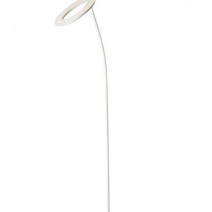 73" White LED Torchiere Floor Lamp With White HomeRoots