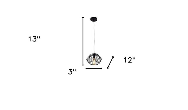 Black Metal Cage Modern Industrial Single Bulb Hanging Pendent Light HomeRoots