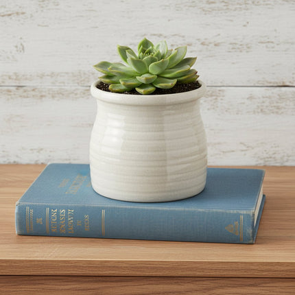 White Ceramic 25 Ounce Striped Round Distressed Pot Planter HomeRoots