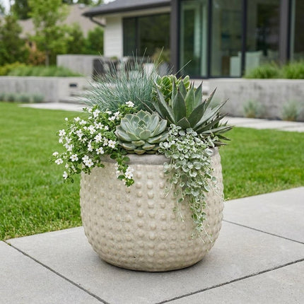 6" Beige Dot Ceramic Indoor Outdoor Round Pot Planter HomeRoots