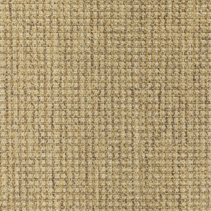 9' X 13' Tan Stain Resistant Indoor Outdoor Area Rug HomeRoots