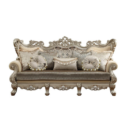 ACME 51040 Ranita Sofa with 7 Pillows, Fabric & Champagne (1Set/2Ctn)