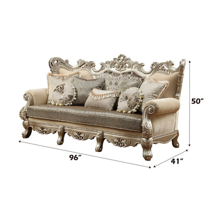 ACME 51040 Ranita Sofa with 7 Pillows, Fabric & Champagne (1Set/2Ctn)
