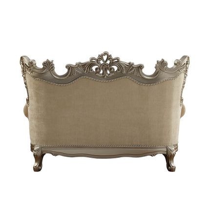 ACME 51041 Ranita Loveseat with 6 Pillows, Fabric & Champagne (1Set/2Ctn)