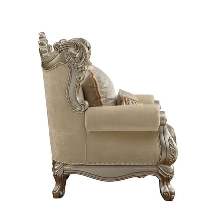 ACME 51042 Ranita Chair with 2 Pillows, Fabric & Champagne (1Set/2Ctn)