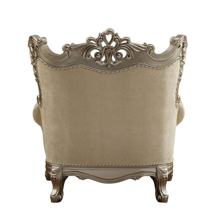 ACME 51042 Ranita Chair with 2 Pillows, Fabric & Champagne (1Set/2Ctn)