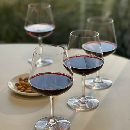 Set of Four Clear Tritan Plastic Stemmed All Purpose Wine Glasses HomeRoots