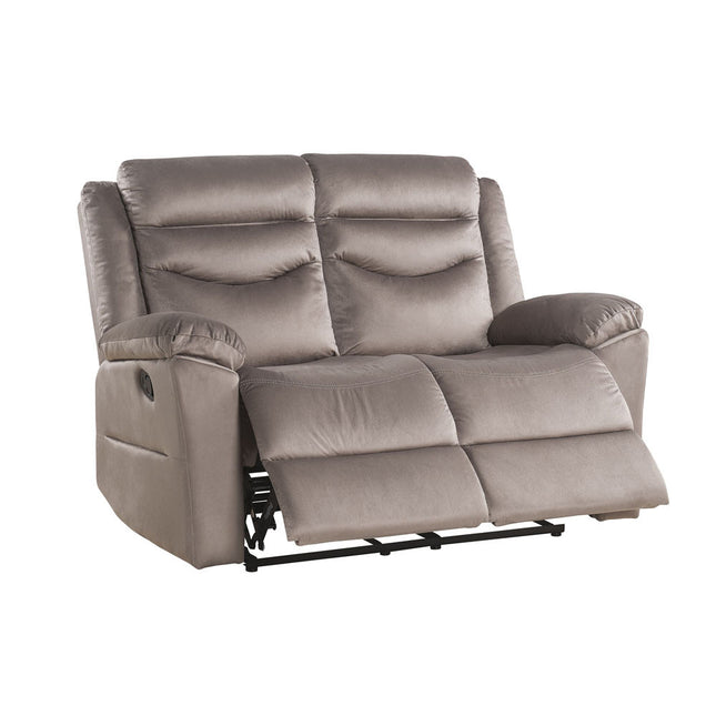 ACME 53666 Fiacre Motion Loveseat, Velvet