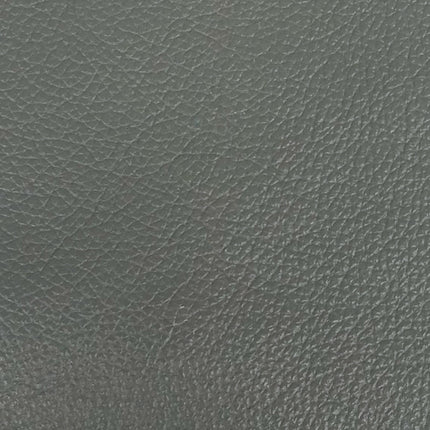ACME 54962 Radwan Chair, Pesto Green Leather