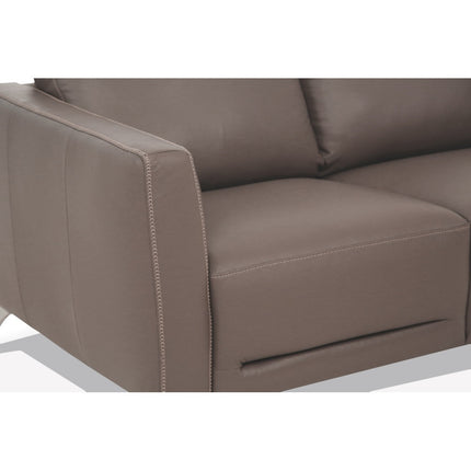 ACME 55001 Malaga Loveseat, Taupe Leather