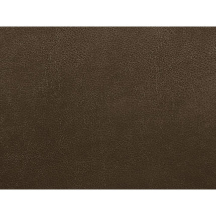 ACME 55420 Aashi Motion Sofa, Brown Leather-Gel Match