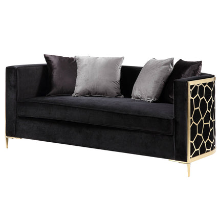 ACME 55666 Fergal Loveseat  3