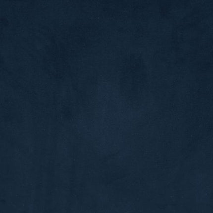 ACME 56455 Ansario Sofa, Blue Velvet